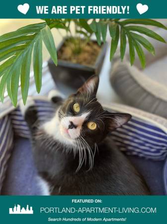 $1,595 / 1br - Anything Is Paw-sible For You And Your Pet! Check Out Lancaster Park! (Troutdale, Wood Village)63672601164673120