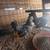Chicks, and other farm animals 7 thumbnail