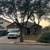 🌲 FRONT RANGE TREE & PROPERTY SERVICES 🌲 5 thumbnail