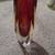 Vintage Murano-Style Italian Amberina Glass Vase, 6" H, Made in Italy 1 thumbnail