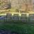 Set of 4 Wooden Outdoor Chairs 1 thumbnail