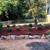 Tree Removal Landscaping Lawn Maintenance Fence Install Gutter cleanin 12 thumbnail