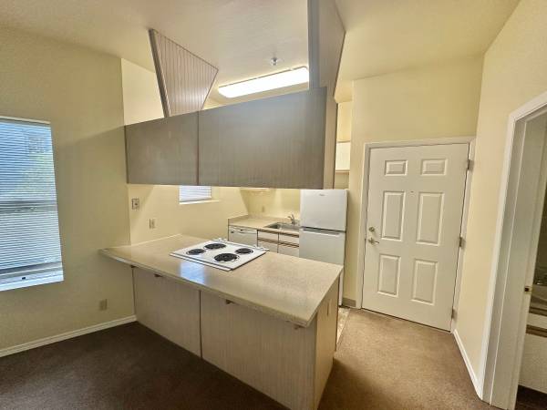 $1,295 / 1br - 550ft2 - * * VIDA MODERNA  * *  EVERETT APTS  * * (2018 NW Everett / NW / Northwest)63820883258371122
