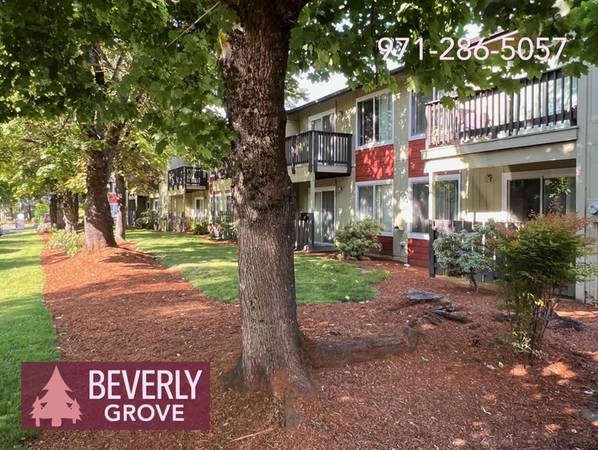 $1,495 / 2br - 1 MONTH HALF OFF! - Wonderful 2 Bedroom + Minutes from Downtown (Halsey & I-84)63842023239427120