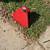 Mechanic red rolling creeper 1 thumbnail