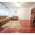 1 Bedroom Apartment Within Walking Distance to UT Austin 1 thumbnail