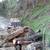 Chipping, stump grinding, felling, trimming, weed whacking, firewood splitting, 14 thumbnail