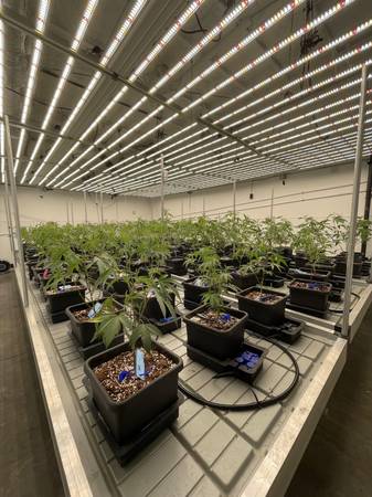 $525,000 Exceptional OLCC Indoor Cannabis Production Facility in Bend, Oregon63839289330433122