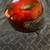Motorcycle Helmets 7 thumbnail