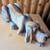 Big Sky Carvers Wood Purdy Dog 14 thumbnail