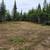 - Pending - Nearly one acre of cleared land just minutes from town 2 thumbnail