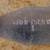Set of Six Craftsman Brand USA-Made Wood Boring Drill Bits 8 thumbnail