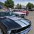 1967 Mustang Fastback – V8, 4-Speed, Clean Title – $60,000 3 thumbnail