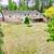 5 BDRM RANCHER WITH 2 SELF CONTAINED SUITES 9 thumbnail