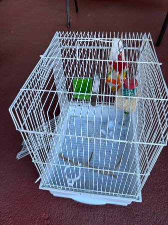 Bird Cage 1