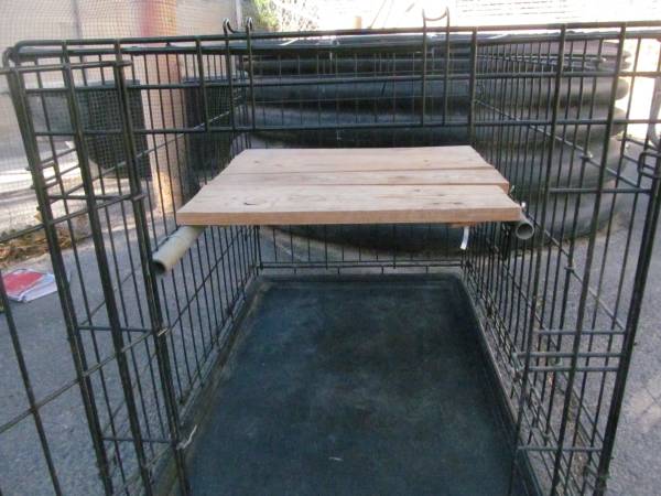Medium folding dog crate- 2doors.63860185059587123