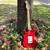 FENDER Candy Apple Red STRATOCASTER 1995 5 thumbnail