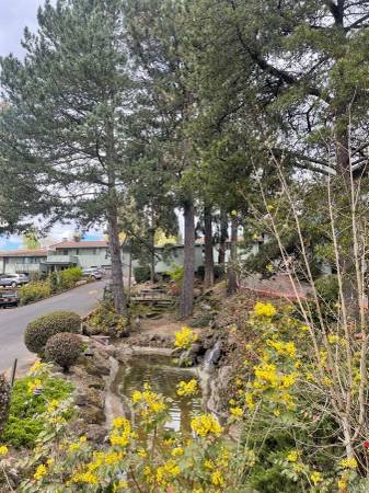 $1,295 / 1br - 628ft2 - Centrally Located Max and Freeway Access- (Cedar Hills)63672600832387120