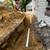 🚨 FAST 24/7 EMERGENCY PLUMBING — EAST RUTHERFORD, NJ 🔧 12 thumbnail