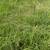 Pasture to cut for hay 2 thumbnail