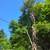"Arturo" Landscaping 6 thumbnail