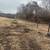 Land clearing 2 thumbnail