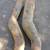1951 or 53 Chevy Parts Air Ducts 1 thumbnail