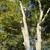 Professional Landscaping & Yard Maintenance – Free Estimates 2 thumbnail