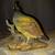 Homco Quail Porcelain Figurine 6 thumbnail