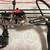 Blackout pursuit compound bow 7 thumbnail