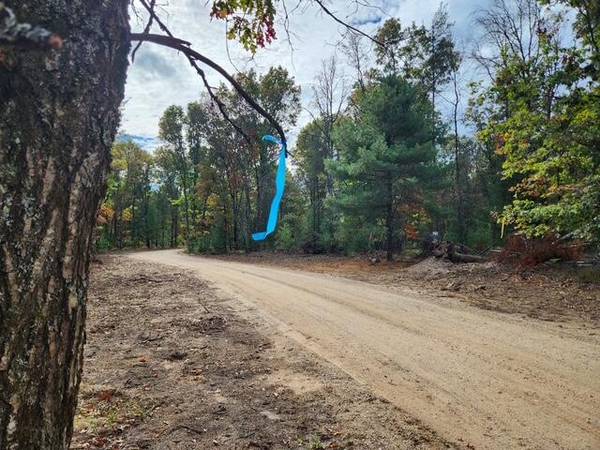 $52,900 4.97 Acres of beautiful open land, Build your dream!! (Baldwin)64308162343427124