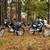 2024 Honda XR150L Dual Sport 12192 New 7 thumbnail