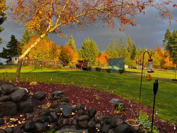 Rv pad on equestrian property 1