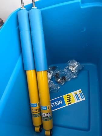 Bilstein rear shocks 1