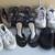 Womens Sizes 7 and 8 Shoe Lot of 6 Pairs 1 thumbnail