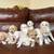 Goldendoodle puppies 3 thumbnail