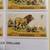 1985 Stamps TANZANIA LION SIMBA (Panthera Leo) 6 thumbnail