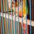 Bonded pair Green Cheeked Conures-Pineapple 3 thumbnail