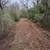 Mulching/Land Clearing/Tree Removal/Ponds etc. 17 thumbnail