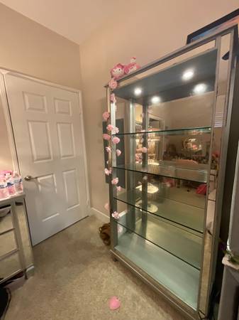 Amazing luxury lavish grey mirrored shelves with show lights 1