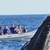 Pueblo Bonito Rose Resort & Spa 2 bed/2bath (Mendano Beach) 16 thumbnail