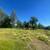 REDDING CITY LIMITS - 3.64 ACRES SECLUDED - CAN BE SUBDIVIDED 2 thumbnail