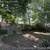 --- Updated 2 Bed --- Kitchen and bath -- Dining Room - No Fee 11 thumbnail