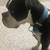 Boxer male 1 thumbnail