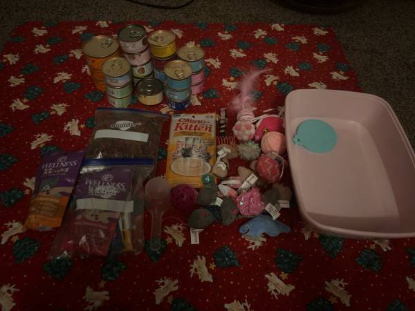 kitten care package!! 1