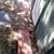 Same day moving helpers and yard work 50$ an hour txt 9162792024 11 thumbnail
