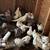 Good pigeons 3 thumbnail