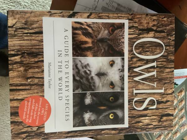 Coffee table books 1