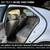 2005 Cadillac STS ~ 45,060 ORIGINAL LOW MILES 17 thumbnail