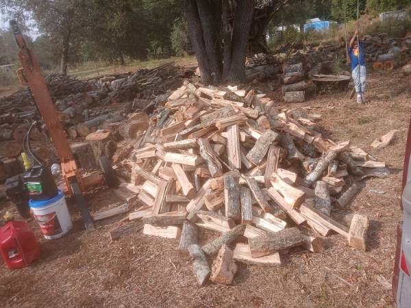 Firewood 1